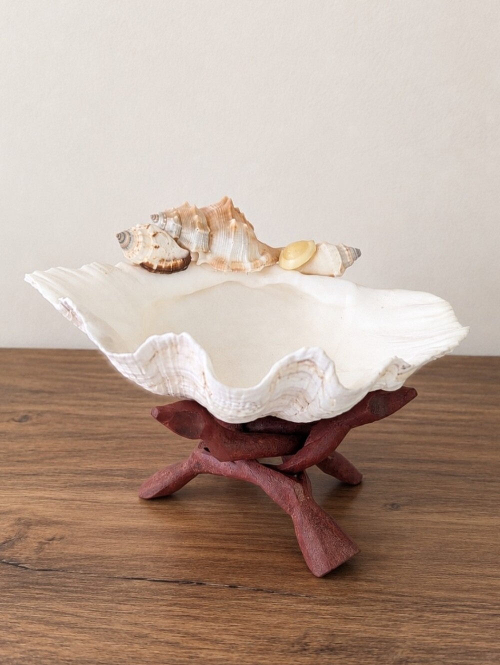 Large Real Clam Shell Dish | Crystals | Urchin & SeaShells | Natural Lavender 🪻